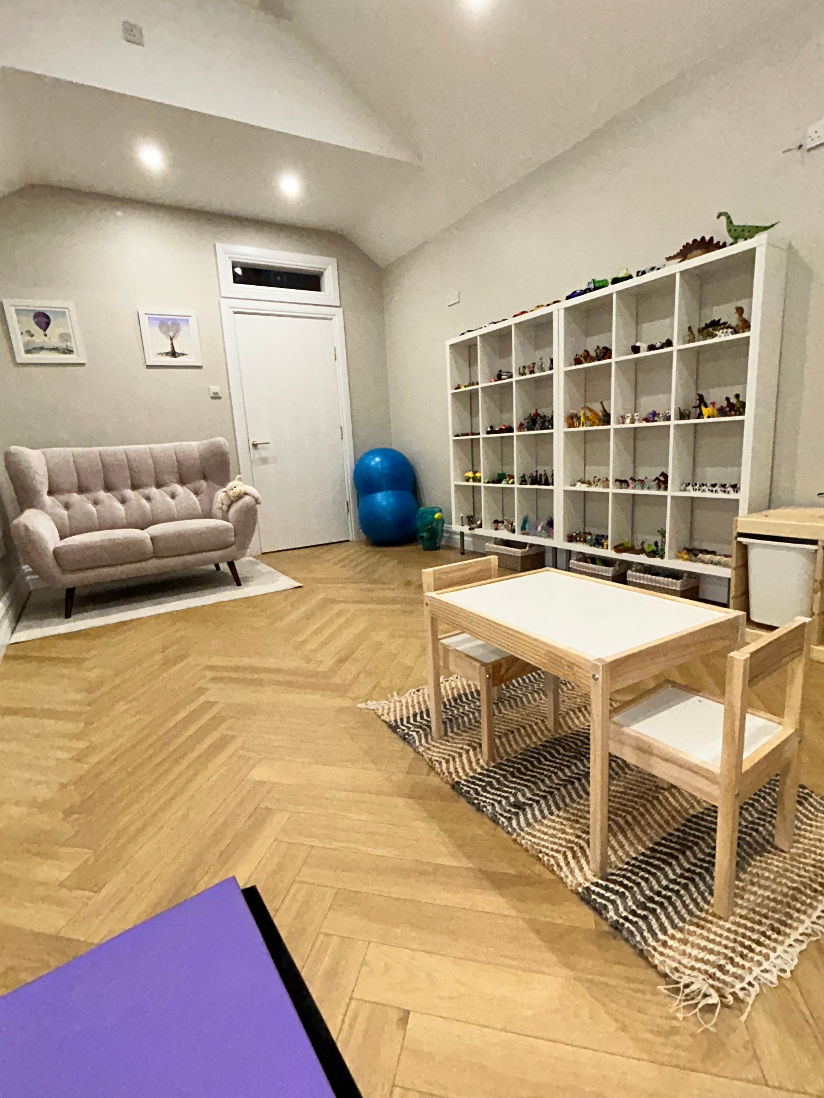 Northern Star Counselling play therapy room with toy shelves